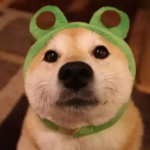 不断充值的寒假,我帮你们汇总了四中老师的朋友圈
