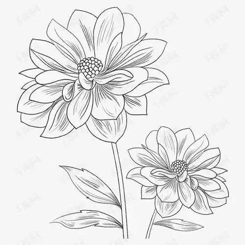 黑白手绘花朵线描素材图片免费下载千库网

