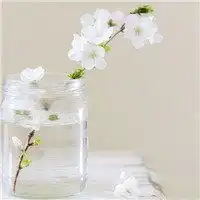 好看的微信头像图片大全瓶子里插花
