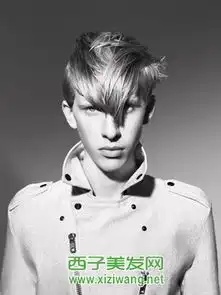 2015男生短发沙宣发型图片

