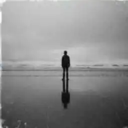 风雨同舟视频直播全集风雨同舟资料大全yy官方
