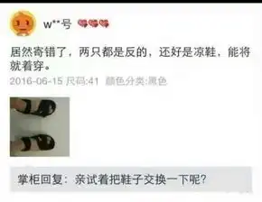把头像换成刘强东的被捕照片去逗京东客服
