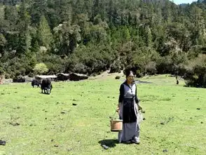 玉树姑娘最大的缺点就是太完美
