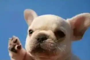 宜昌人请注意今起,东山隧道一灯一道,请get正确通行技能
