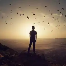 异地恋是一种什么体验
