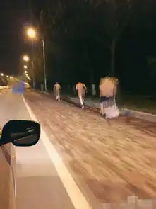 5名男子凌晨雪中裸奔致青春雪可以洗涤心灵
