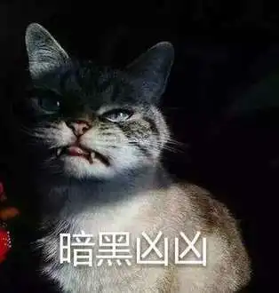 我想要超凶猫一系列的表情,哪位大神可以发给我
