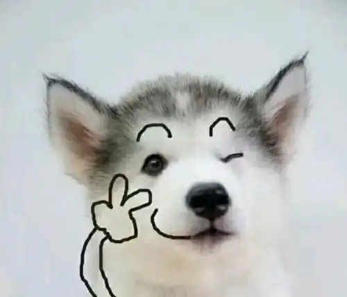 防晒隔离妆前乳这些真的都要涂吗突然觉得被骗的好苦
