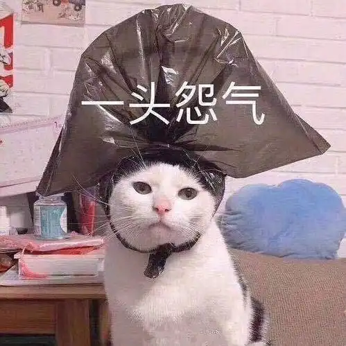 最新搞笑表情包我会小心注意,不让眼泪落下
