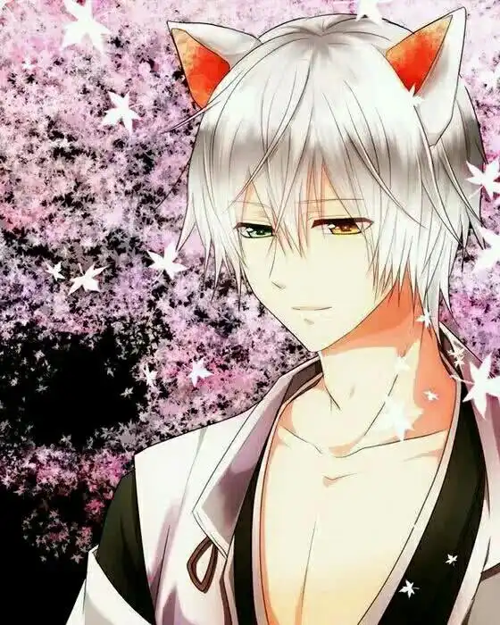 动漫男神,你最想嫁哪个
