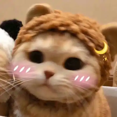 情头一定要一起养只宠物呀
