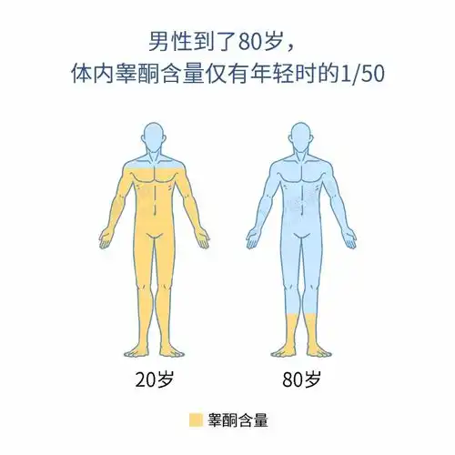 睾酮,是男性阳刚的象征3个方法促进自然分泌,省钱不伤身
