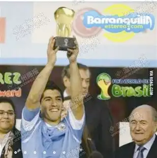 世界杯图片式总结
