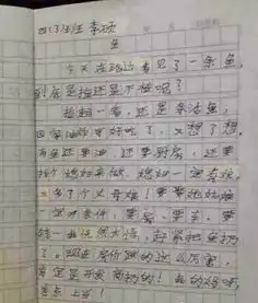 小学生作文,居然写得这么有内涵....
