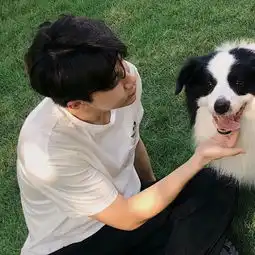 情头都来分享下,有什么哄男朋友的方法

