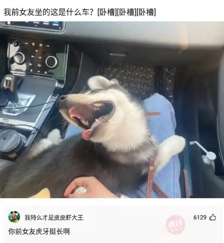 神回复是什么让一个男人铁了心的要离婚
