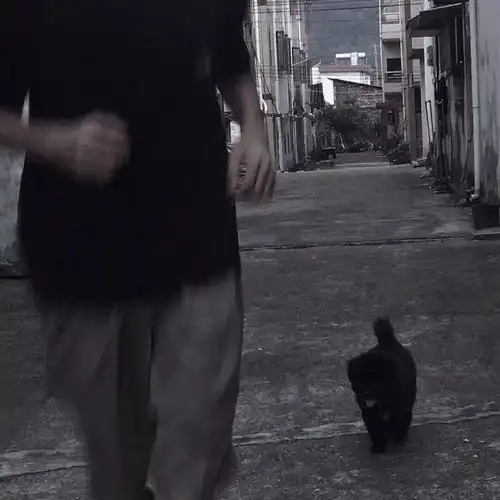 高清头像少年如歌
