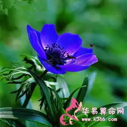 射手座男生最爱的女人是什么类型

