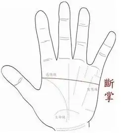 男人右手断掌有什么说法
