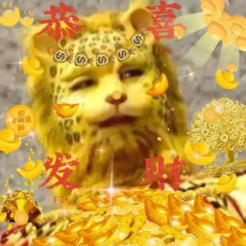 2022发财好运金钱豹头像合集
