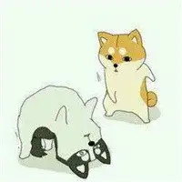 二哈柯基卡通情侣头像微信头像图片大全