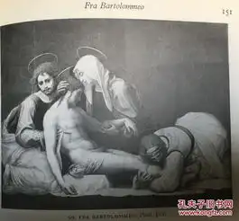 沃尔夫林古典艺术意大利文艺复兴艺术概论铜版纸印刷插图版
