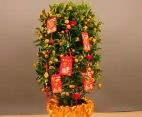 新年旺运风水植物选一盆搬回家吧
