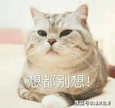 用新号试探媳妇,惨遭拒绝,正欣慰之时,哈哈哈,差点气死了

