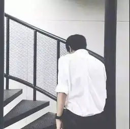 银茂府风云
