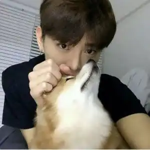 头像男抱猫邪魅