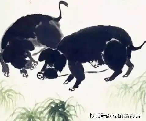 4生肖流年大顺利,二月旗开得胜赚大钱,人走到哪,财运就跟到哪
