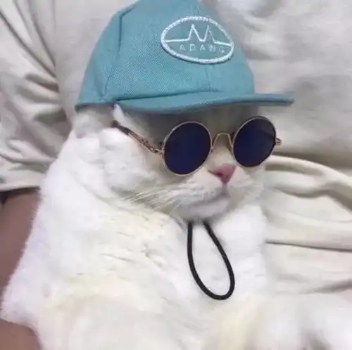 如何与指责型的人相处丛非从
