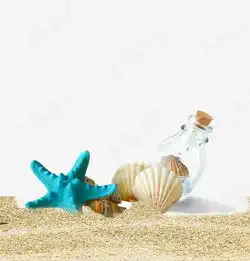 海星漂流瓶贝壳素材图片免费下载高清装饰图案psd千库网图片编号3814458
