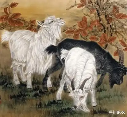 11月开始机遇增多,一路旺到底,人缘好贵人多的生肖,八方来财
