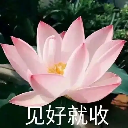 沙雕表情包佛系团头情头闺头