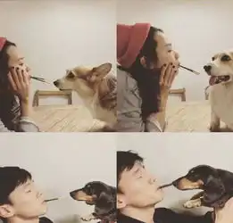 超甜夫妇恋情因男友失手公开,结婚三年仍像热恋期恩爱甜蜜