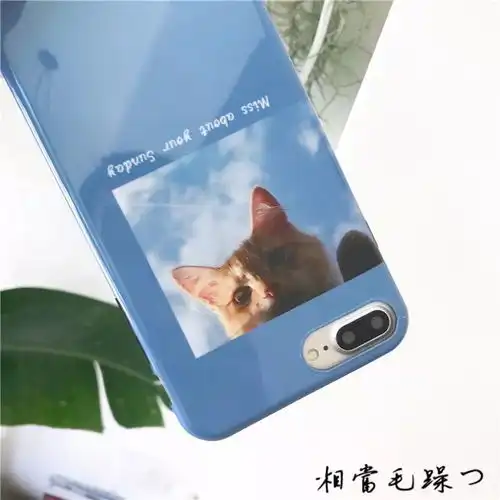 爱不释手的壳壳
