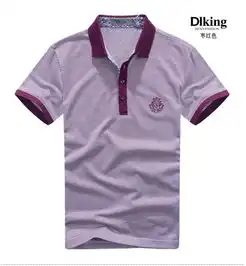 帝牌男装diking春夏新款男士衬衫领t恤男商务休闲衬衫612303
