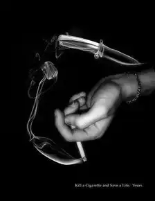 全世界烟民创造的另一世界
