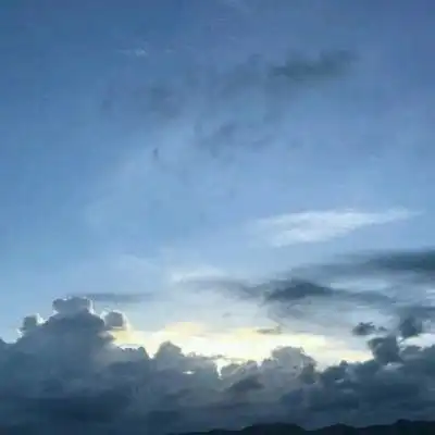关于www.8889558.com网页版手机app介绍公告hd5.06
