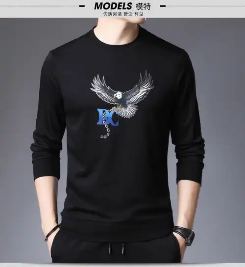 汤河之家黑色卫衣男长袖2019秋季男装圆领针织衫棉纺休闲男衫b
