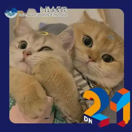 这就是大东软人刚放假的朋友圈
