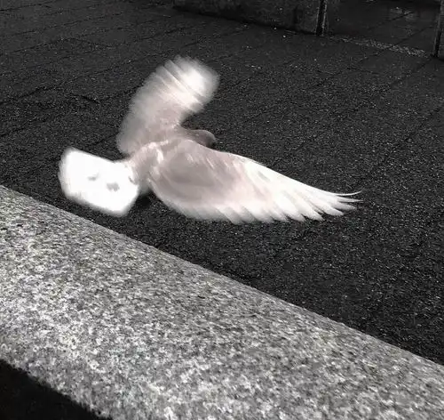 她不再与我有关的句子
