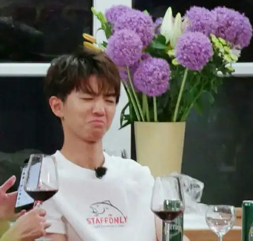 王俊凯终于喝酒了第一次喝红酒的王俊凯,脸上的表情一言难尽
