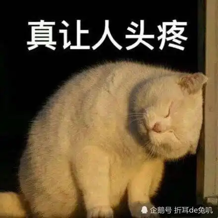 头疼的几种原因,多吃这几种食物可以缓解头痛,图五常被我们忽略
