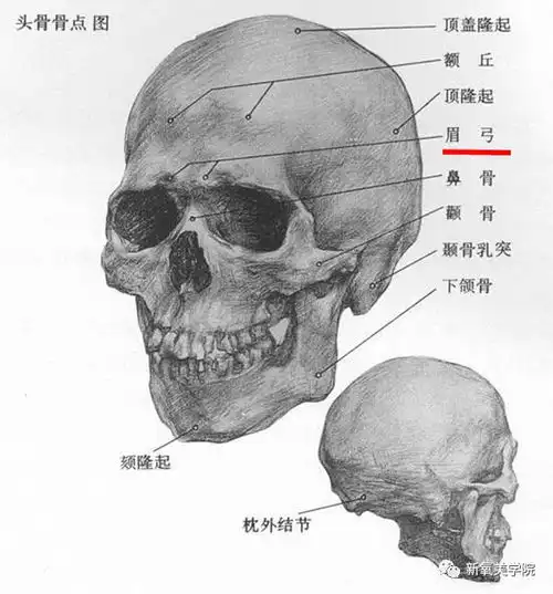 揭秘顶级美人的颜值基因,清一色拥有完美t字结构
