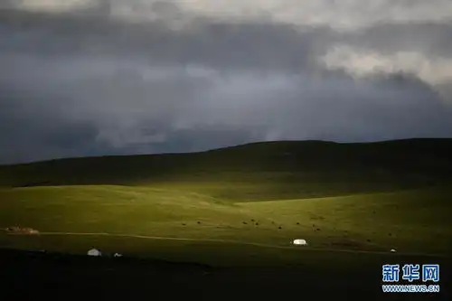 青海玛沁夏日高原牧场

