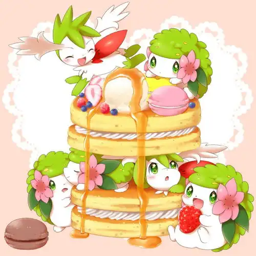 ,收藏夹
