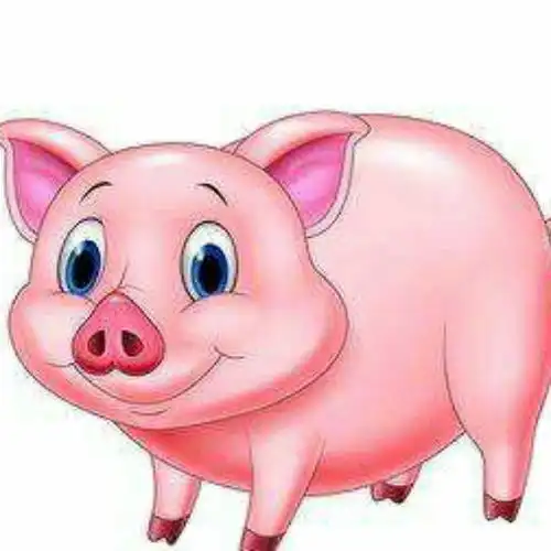 周公解梦属猪运势如何梦到猪的幸运数字是多少
