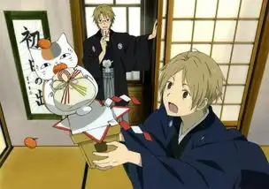 一部日本动画片,是一个看得见妖怪的男孩,里面有猫,有5部,各种妖怪的温馨故事,男孩的外婆以前收集各